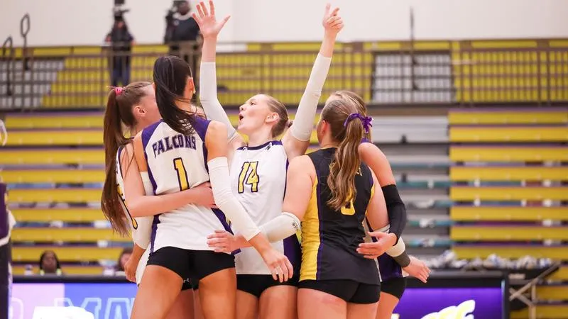 Falcons Sweep Lee, 3-0, for Third Straight Victory