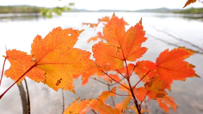 Easy ways to save on your power bill during the Fall