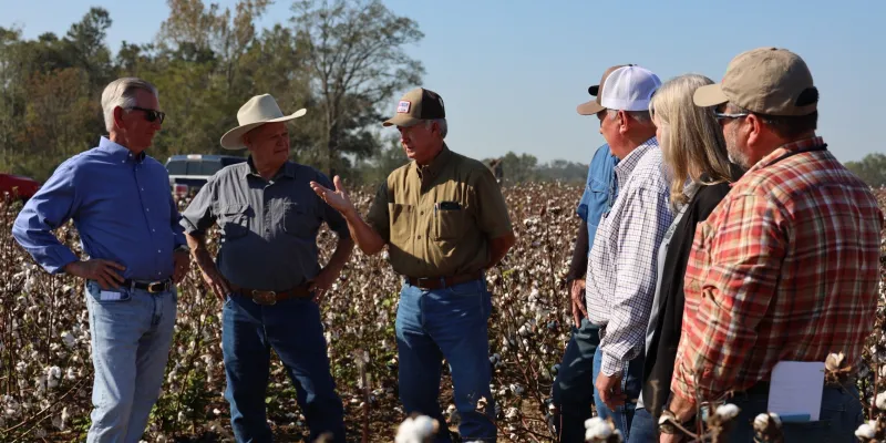 Senator Tuberville tours Isaias damage, hammers Doug Jones and Democrats on the farm bill: 'He doesn't know the difference between cotton and a watermelon plant'