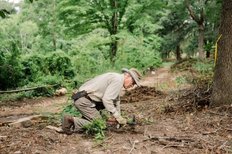 Birmingham Botanical Gardens workshop tackles invasive plant removal