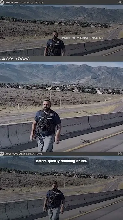 K-9 officer seen jumping off highway overpass, survives fall (Video)