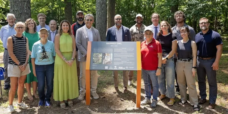 Samford plans to restore Shades Creek habitat for salamanders and other wildlife