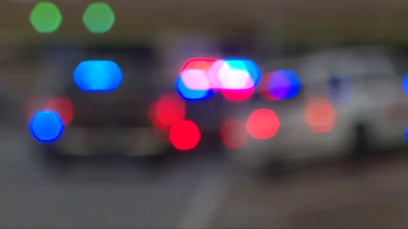 Haleyville man killed in single-vehicle crash in Winston County