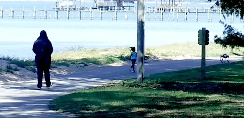 Robot Dog Spotted Walking At Beach Park
