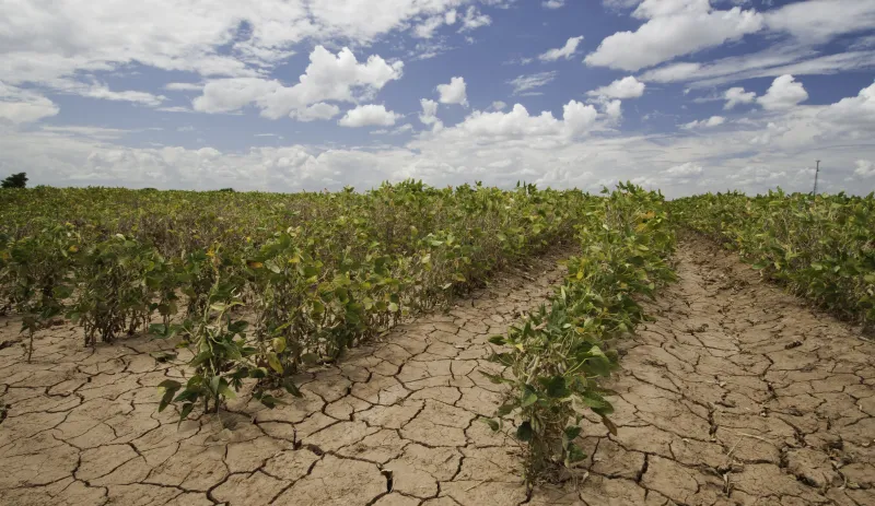 Northeast Arkansas under exceptional drought conditions