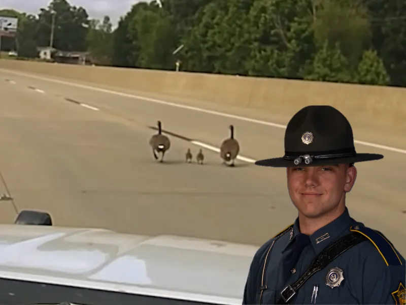 Dashcam video shows state trooper backing up to run over second gosling