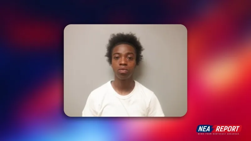 Pizza Delivery Robbery Brings Life-In-Prison Warning In Court