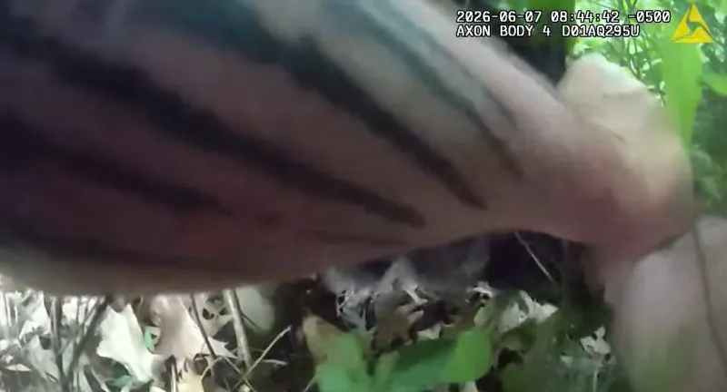 VIDEO: Jonesboro K-9 Bites Handler After Fleeing Suspect's Arrest