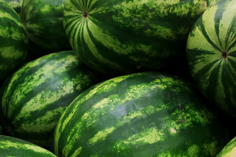 Ways to Identify A Ripe and Sweet Watermelon