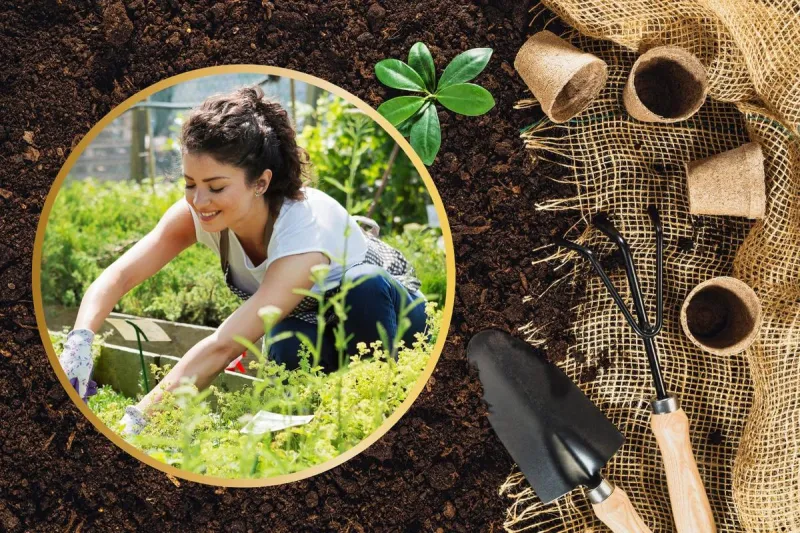 Join Bowie County Master Gardeners: Fall Class Details