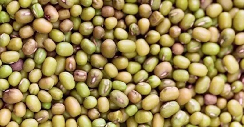 Grow for the Green Soybean Yield Challenge slated for its 16th year