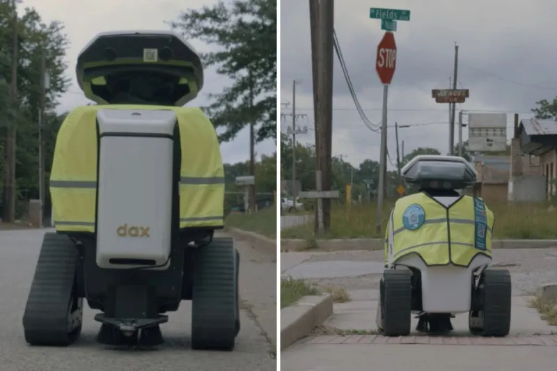These Little Robots Have Become Tyler's Newest Celebrities