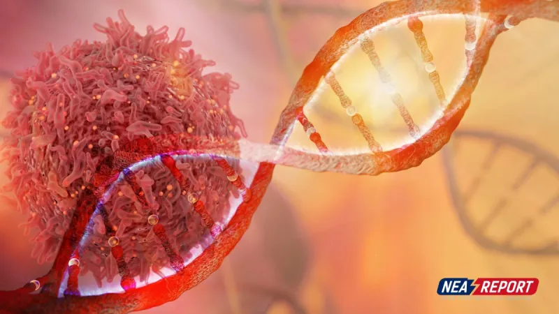 St. Bernards Brings Innovative Targeted Cancer Therapy to Northeast Arkansas