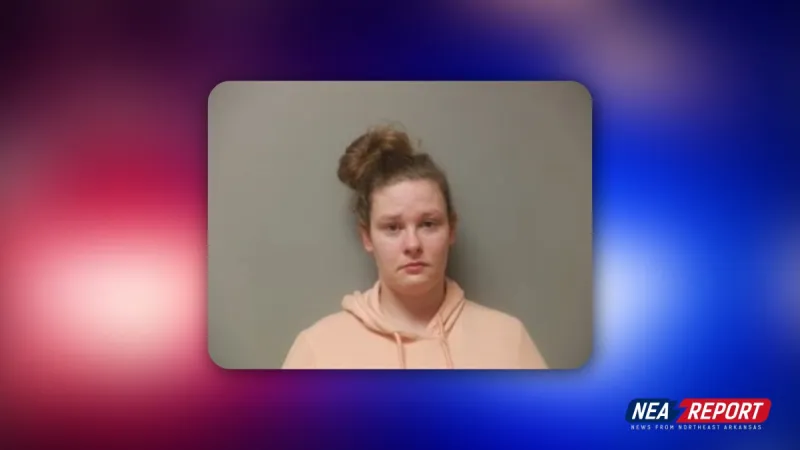 Woman Faces Y Felony After Gun Stolen From Jonesboro Home