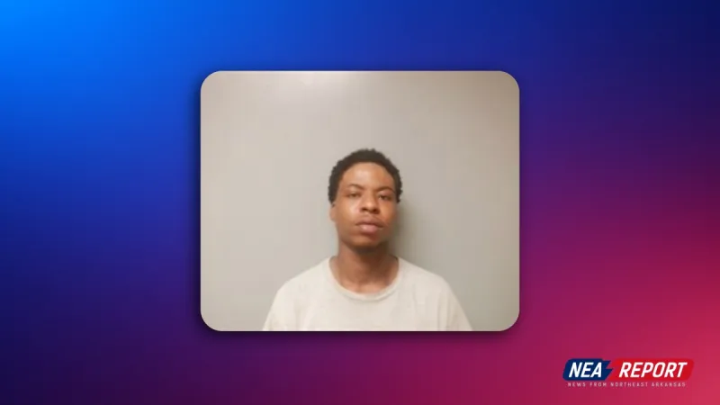 Gun Tossed From Vehicle During Traffic Stop, Police Say