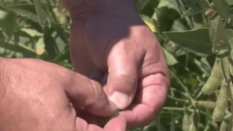 Sen. Boozman unveils bipartisan Farm Bill 2.0 draft; "We need to pull out all the stops"