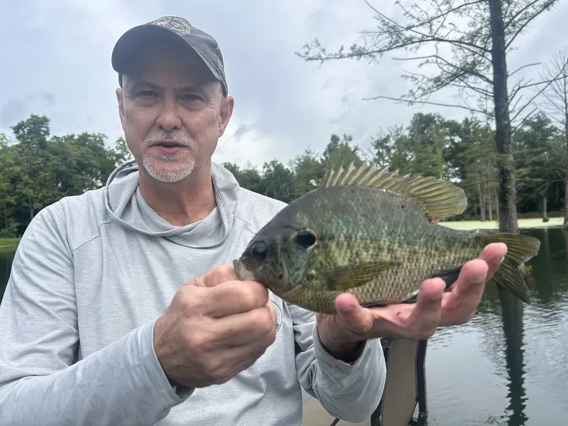 Arkansas Outdoors: Game and Fish Commission program helps landowners achieve great bass fishing