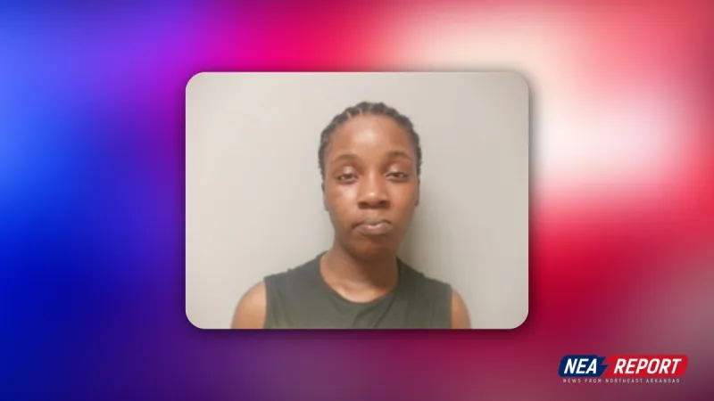 Shoplifting Complaint Leads to Felony Theft Arrest