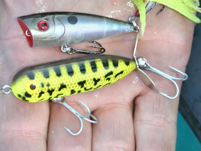 FISHING: Try topwater lures for bass fishing fun