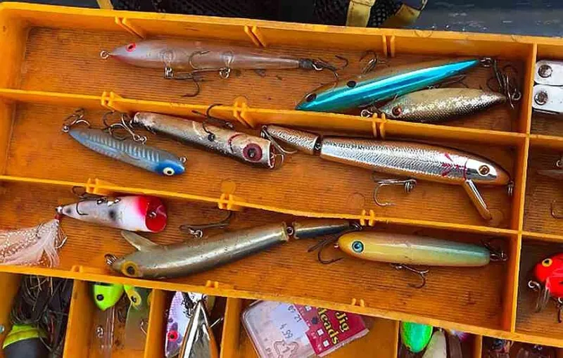 NWA fishing report: Early birds catch the fish at Beaver Lake