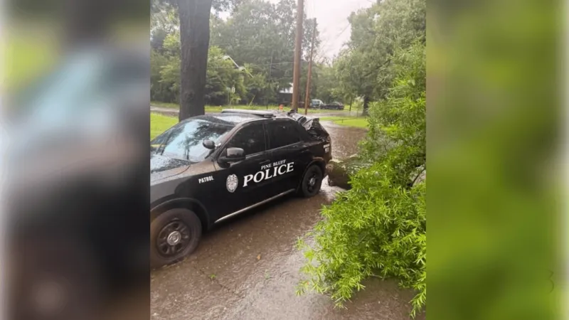 Fallen tree crushes parked Pine Bluff Police car; no officer injured