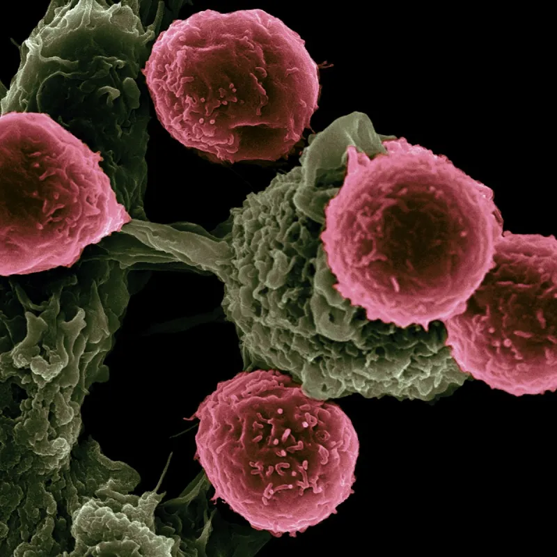 Texas Scientists May Have Found a New Way to Expose Cancer