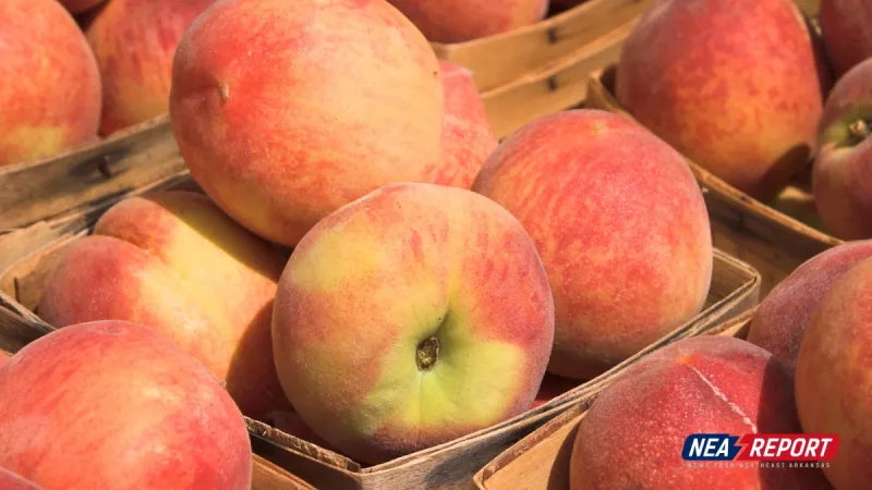 Jonesboro Church Health Center To Deliver 420 Cases of Georgia Peaches