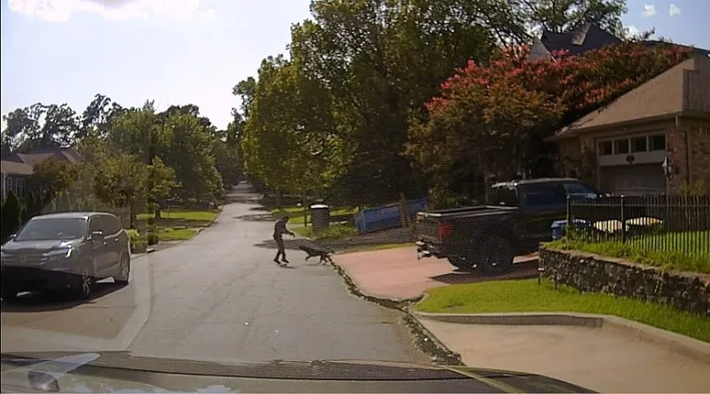 Video shows officer retreating before fatally shooting dog in Little Rock's Heights neighborhood