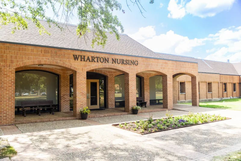 SAU's BSN program posts 100% first-time NCLEX-RN pass rate for second consecutive year