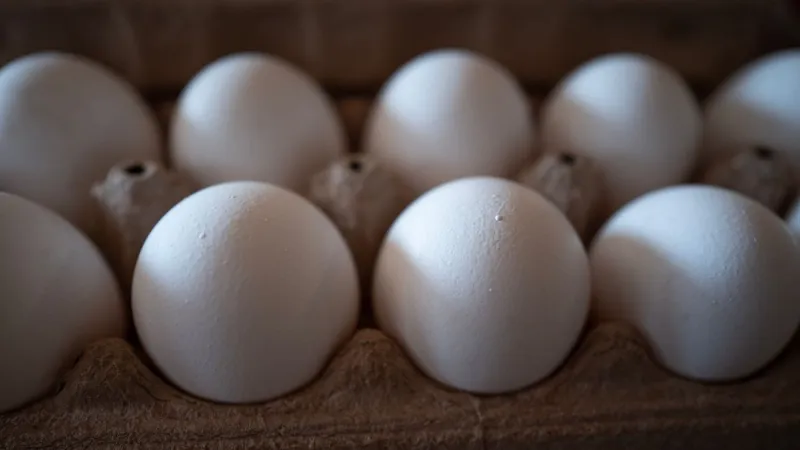 1.6 million eggs recalled over Salmonella concerns, Arkansas included