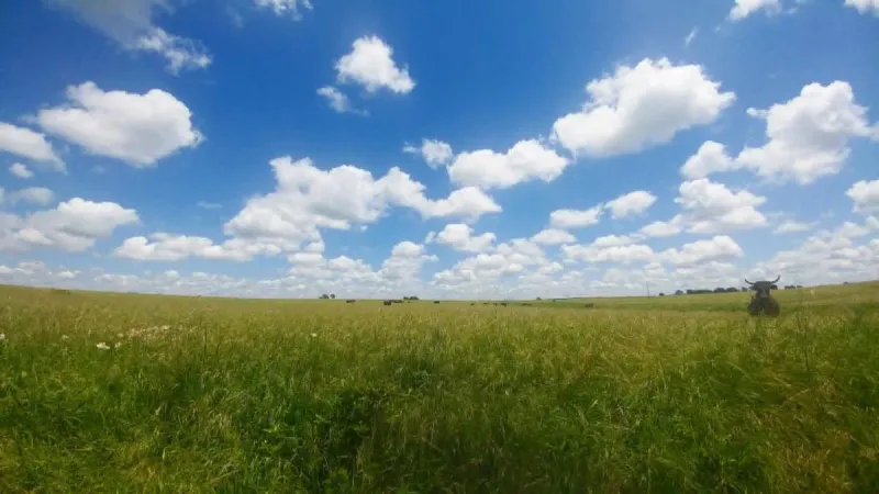 Texas' Largest Land Owner Deals in Drilling and Data Centers