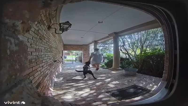 'Don't Shoot': Exclusive home video shows final seconds before officer killed dog