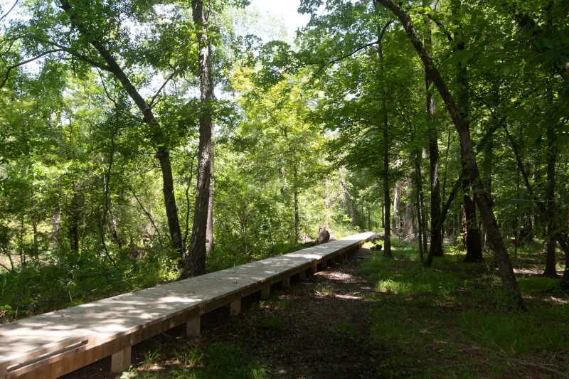 Ranch North Woods' shaded trails are worth leaving the AC to explore