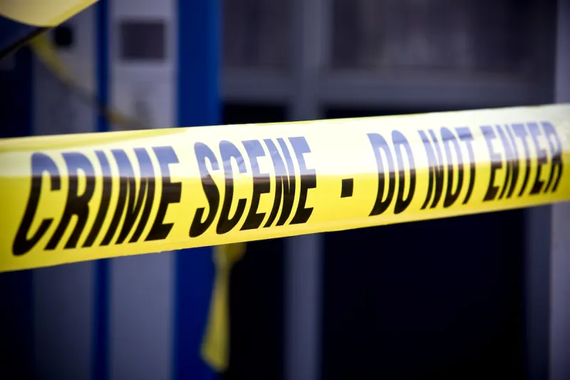Recent shootings of dogs by AR police shed light on a horrific statistic