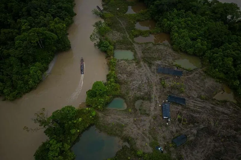 Colombia: Forest loss was slightly up in '25