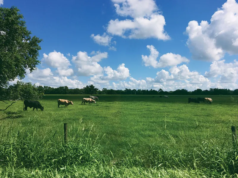 Buying Rural Land