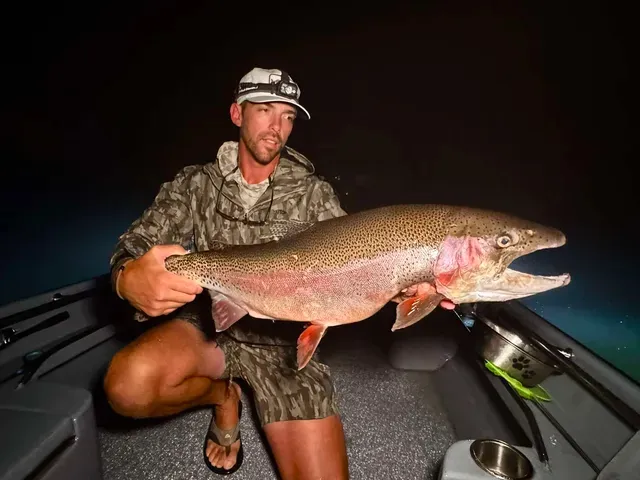 Ginormous rainbow trout lurk in the White River, here's proof