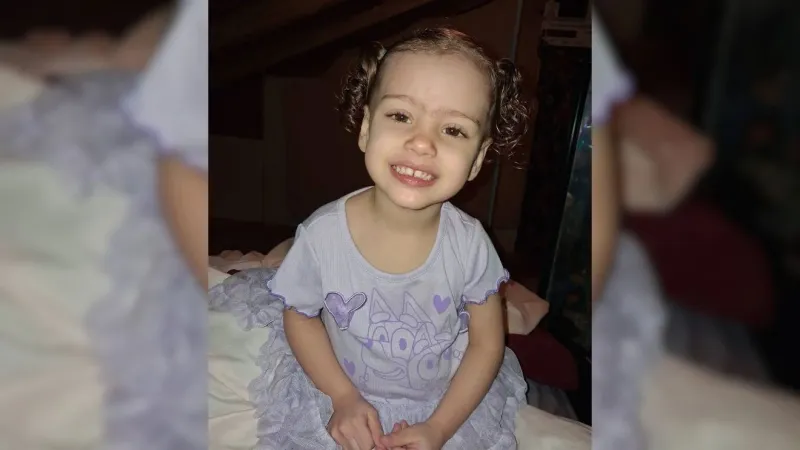 Three arrested after Pulaski County dog attack that killed 2-year-old Celeste Jackson