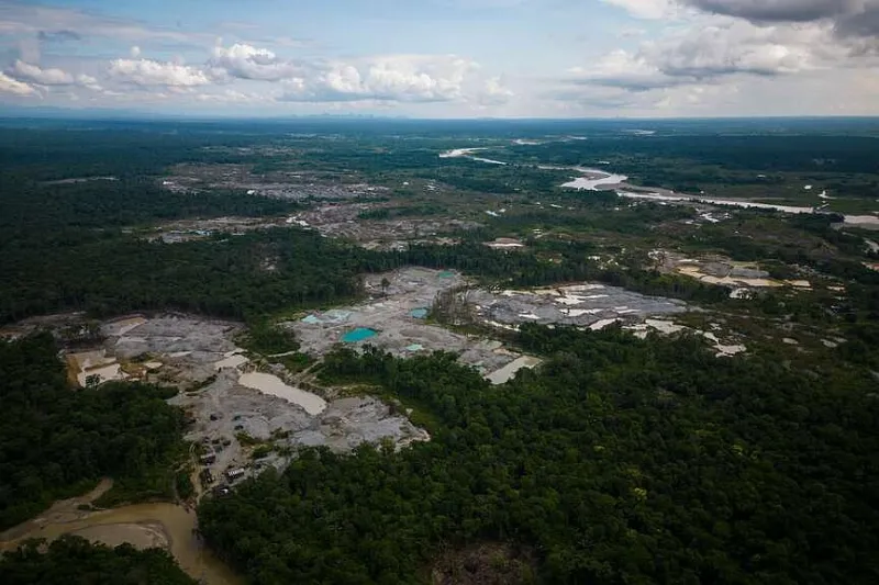 Amazon rainforest focus of operation