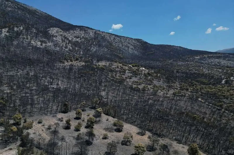 Firefighters in Greece extinguish flames amid wind, heat warning