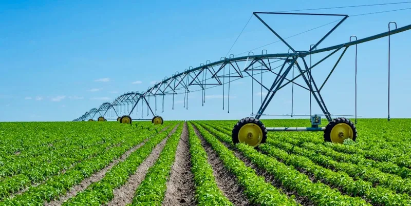 Net farm income projected to fall in 2026