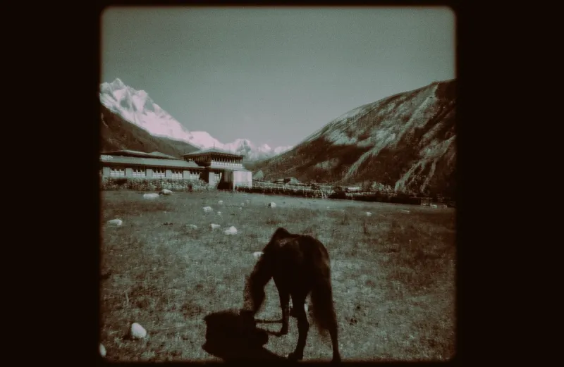 Exhibit shows pinhole camera images