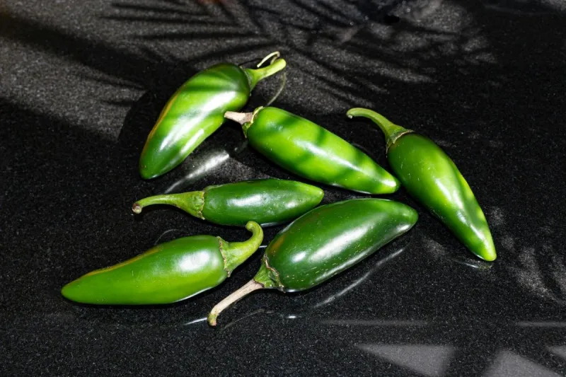 Jalapeo Pepper Recall: Salmonella Outbreak Hits TX and AR
