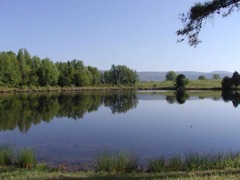 Proper Pond Management Helps Prevent Muck Buildup