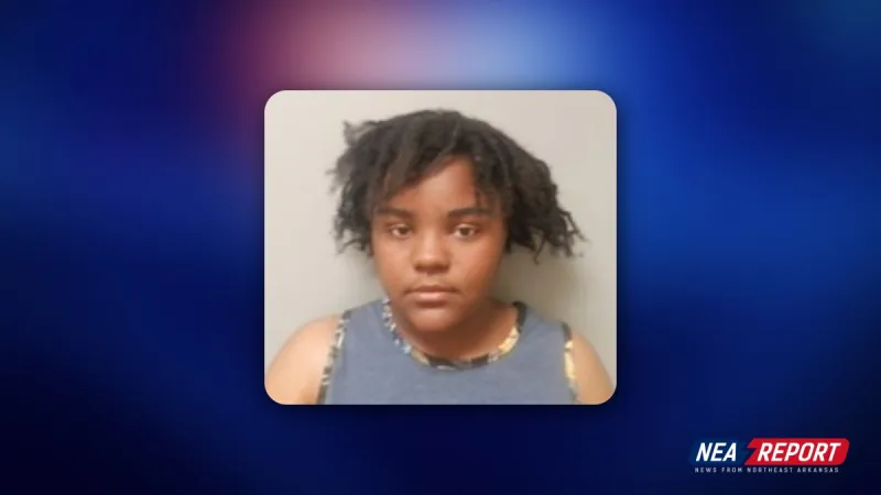 Jonesboro Defendant Accused of Hitting, Kicking 70-Year-Old Relative