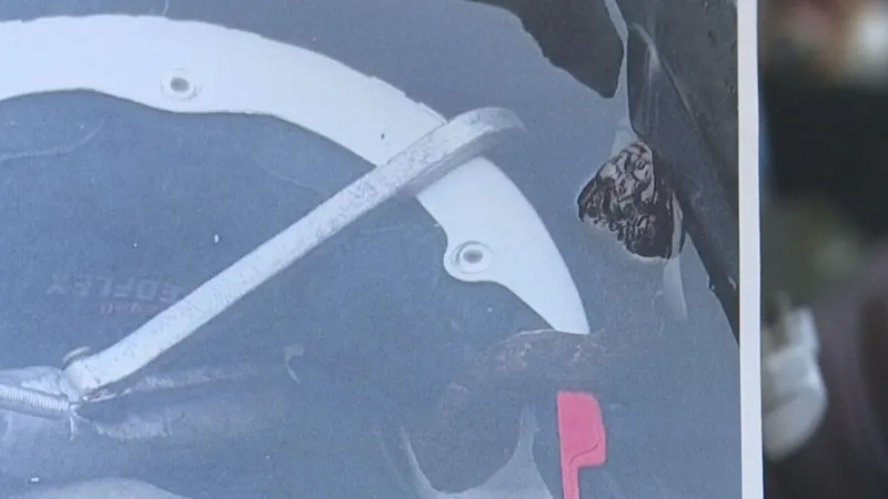 Venomous cottonmouth discovered in Maumelle High School player's helmet during practice