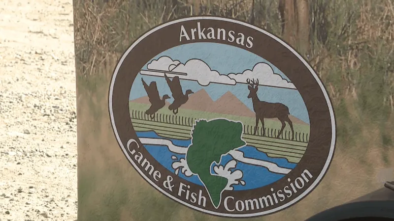 Bear found dumped with head and paws cut off; hunter cited by AGFC
