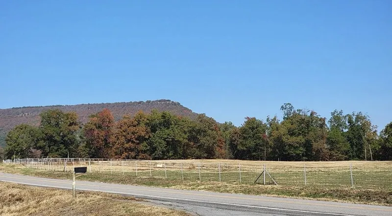 Conway County firefighters contain woodland blaze near Petit Jean Mountain
