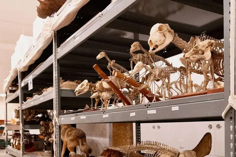 University of Arkansas plans for future of museum with Bob and Becky Alexander fund established