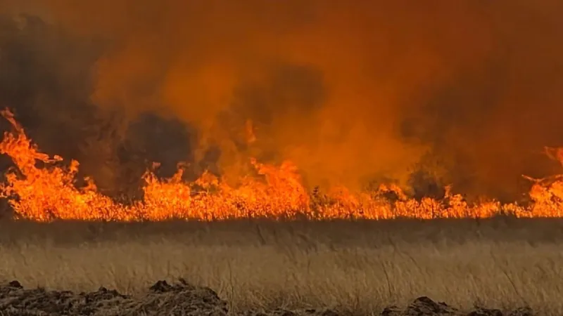 Triple-digit heat raises wildfire risk across Arkansas